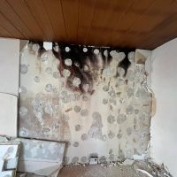 Schimmel- & Wasserschäden (2)