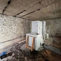 Schimmel- & Wasserschäden (3)