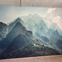 Tapezierarbeiten (6)